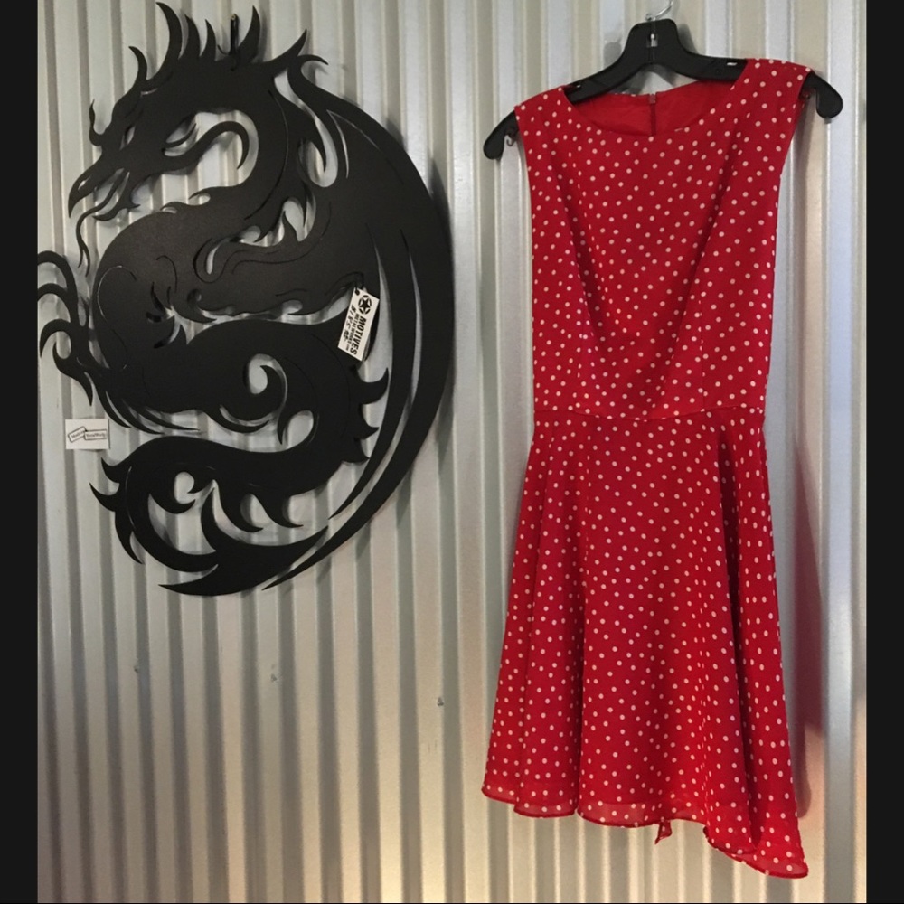 DANI MAX Lois Snyder VTG Polkadots ARE it!